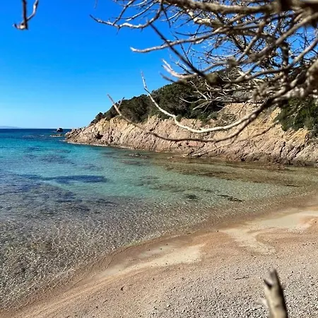 Maison Typique Corse Ecologique بيت للعطل كوتي شْيافاري