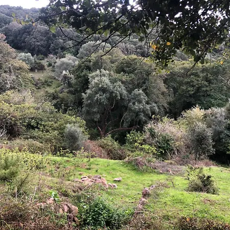 Maison Typique Corse Ecologique Prázdninový dům Coti-Chiavari (Corsica)