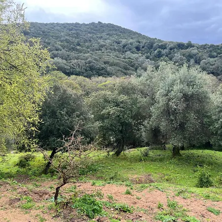 Maison Typique Corse Ecologique * Coti-Chiavari (Corsica)