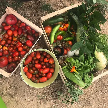 Maison Typique Corse Ecologique * Coti-Chiavari (Corsica)