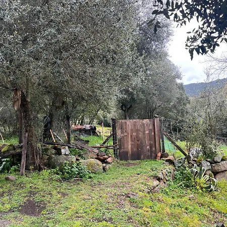 Maison Typique Corse Ecologique *