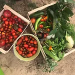 Maison Typique Corse Ecologique * Coti-Chiavari (Corsica)