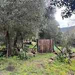 Maison Typique Corse Ecologique *