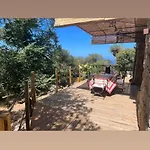 Holiday home Maison Typique Corse Ecologique *