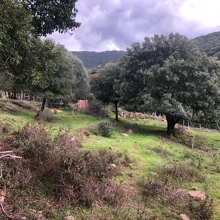 Maison Typique Corse Ecologique