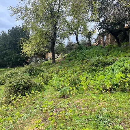 Maison Typique Corse Ecologique Ferienhaus