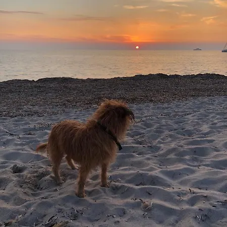 Maison Typique Corse Ecologique Casa vacanze Coti-Chiavari (Corsica)