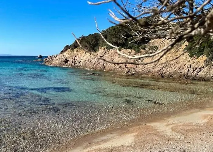 Maison Typique Corse Ecologique 펜션 코티치아바리