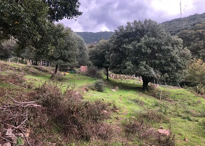 Maison Typique Corse Ecologique