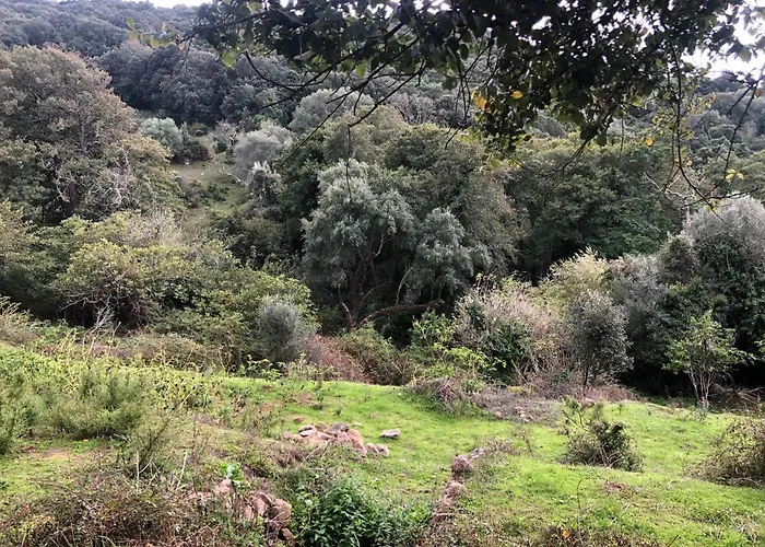 Maison Typique Corse Ecologique Ferienhaus Coti-Chiavari (Corsica)