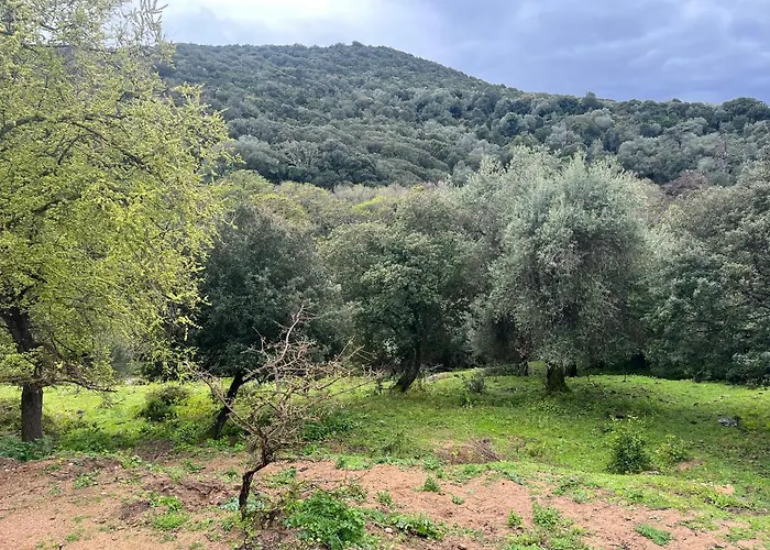 Maison Typique Corse Ecologique * Coti-Chiavari (Corsica)