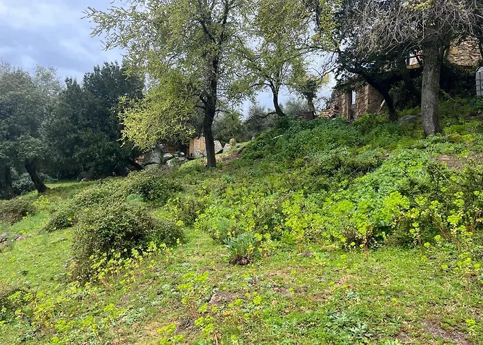 Maison Typique Corse Ecologique Casa de Férias