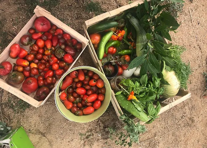 Maison Typique Corse Ecologique * Coti-Chiavari (Corsica)