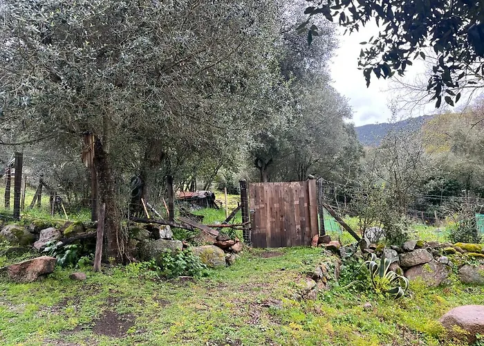 Maison Typique Corse Ecologique *