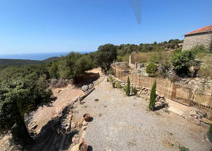 Casa de Férias Maison Typique Corse Ecologique *